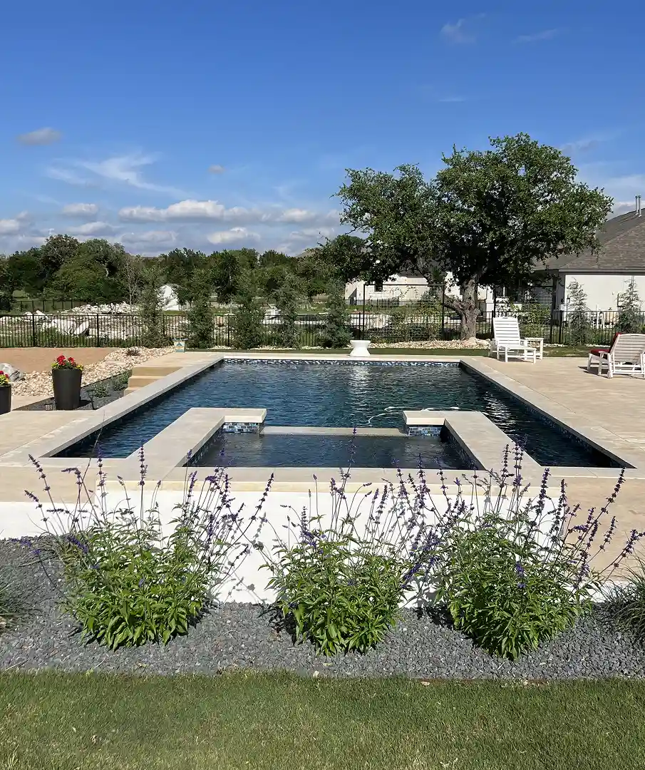 Pool and raised spa with custom landscaping.